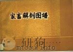 家畜解剖图谱（1980 PDF版）