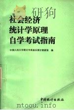 社会经济统计学原理自学考试指南 1993 PDF电子版封面 7503708964 中国人民大学统计学系综合统计教研室编