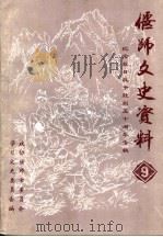 偃师文史资料  纪念抗日战争胜利五十周年专辑  第9辑（1996 PDF版）