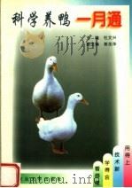 科学养鸭一月通（1998 PDF版）