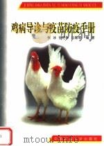 鸡病导诊与疫苗防疫手册 1999 PDF电子版封面 7810660144 张冰,孙艳争,马增军编著