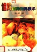 雏鸡精细饲养技术（1999 PDF版）