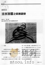 淡水砂蚕之饲养观察（ PDF版）
