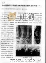 东南亚和南亚地区鱼类疾病与检疫概况及其对策 下 PDF电子版封面 廖国璋