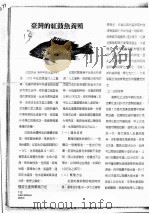 台湾的红鼓鱼养殖（ PDF版）