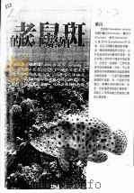 老鼠斑的人工繁殖（ PDF版）