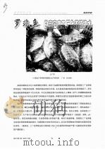 罗非鱼的高密度工厂化养殖技术（ PDF版）