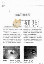 海龟的繁养殖（ PDF版）