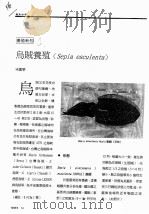 乌贼养殖（ PDF版）