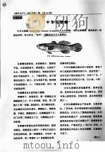 中华乌塘鳢 PDF电子版封面