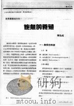 鲍鱼的养殖（ PDF版）