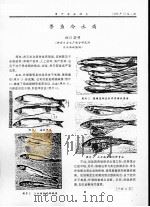 香鱼冷水病（ PDF版）