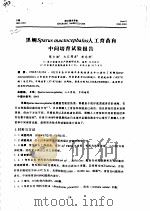 黑鲷SPARUS MACTOECEPHALUS人工育苗和中间培育试验报告（ PDF版）
