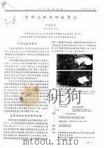 牙鲆元眼侧何故黑化（ PDF版）