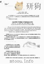 斜带髭鲷养殖技术（ PDF版）