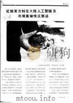 红鳍东方鲀在大陆人工繁殖及池塘养殖情沉简述（ PDF版）
