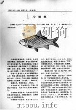 尖鳍鲤（ PDF版）