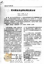 黄河鲤鱼形态特征的比较分析（ PDF版）