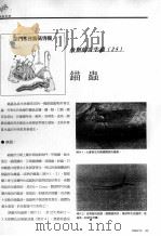 锚虫（ PDF版）