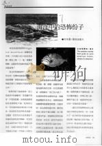 海洋中的恐怖份子（ PDF版）