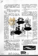 网箱培育幼蟹（ PDF版）