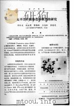 太平洋牡蛎染色体核型的研究 PDF电子版封面 许伟定,胡庆明,隋锡林,王志松,李国友