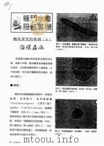 鳗鱼常见的疾病  4  指环虫病（ PDF版）