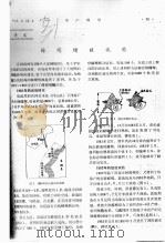 蝾螺增殖试验（ PDF版）