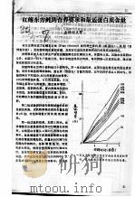 红鳍东方鲀的营养要求和最适蛋白质含量（ PDF版）