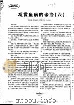 观赏鱼病的诊治  6（ PDF版）