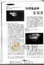热带鱼品种及饲养（ PDF版）