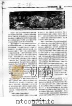 热带王国的最爱:七彩神仙鱼 PDF电子版封面 文青