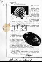 观赏鱼及增养殖（ PDF版）