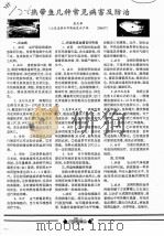 热带鱼几种常见病害及防治（ PDF版）