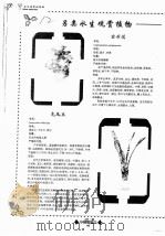 另类水生观赏植物  虎尾兰  宝石花（ PDF版）