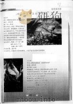 观赏水学的品种与栽培（ PDF版）