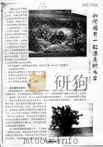 如何拥有一缸漂亮的水草（ PDF版）