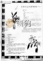 另类水生观赏植物（ PDF版）