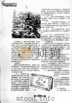 小型死亡鱼类的再利用技术 PDF电子版封面 李佳,金善福