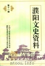 濮阳文史资料 第11辑 1998 PDF电子版封面 中国人民政治协商会议河南省濮阳市委员会文史学习委员会