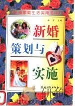 新婚策划与实施 1996 PDF电子版封面 7504820105 余京主编