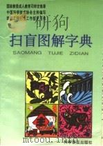 扫盲图解字典（1996 PDF版）