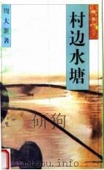 村边水塘 1996 PDF电子版封面 7805376131 周大新著