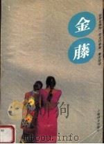 金藤 1997 PDF电子版封面 7532718468 (印度)达罗克纳特·贡戈巴泰著;董友忱译