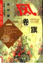 风卷旗 1997 PDF电子版封面 7537817197 老加著