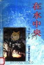 在水中央   1999  PDF电子版封面  710905716X  杨尚聘著 