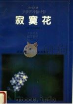 寂寞花（1997 PDF版）