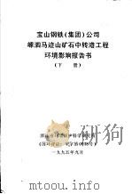 宝山钢铁  集团  公司嵊泗马迹山矿石中转港工程环境影响报告书  下（1995 PDF版）