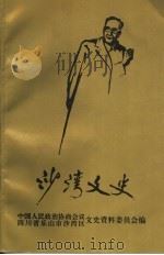 乐山市沙湾区文史资料专辑 第7期 纪念郭沫若诞辰一百周年专辑 PDF电子版封面 中国人民政治协商会议四川省乐山市沙湾区委员会文史资料委员会编