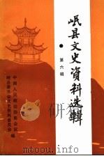 岷县文史资料选辑 第6辑 1999 PDF电子版封面 政协甘肃省岷县委员会文史资料研究委员会编